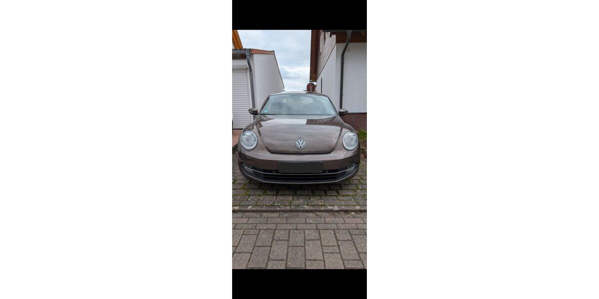 VW Beetle 169.500 km 5.999 &euro; Freisbach 67361