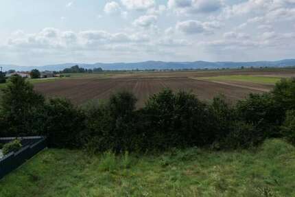 Grundstück zu verkaufen in Schauernheim 477.000 € 600 m²