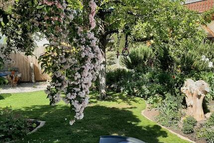 Wohnung Biblis - 11 Zimmer, 344 m&sup2;, 609.000&euro; | Angebot:26117699