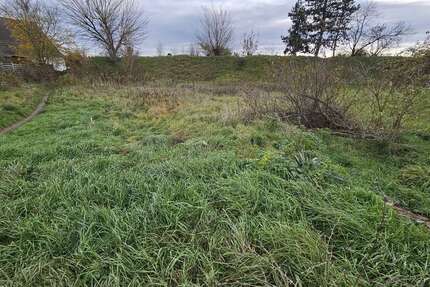 Grundstück zu verkaufen in Waghäusel-Wiesental 419.000 € 704 m² zimmer