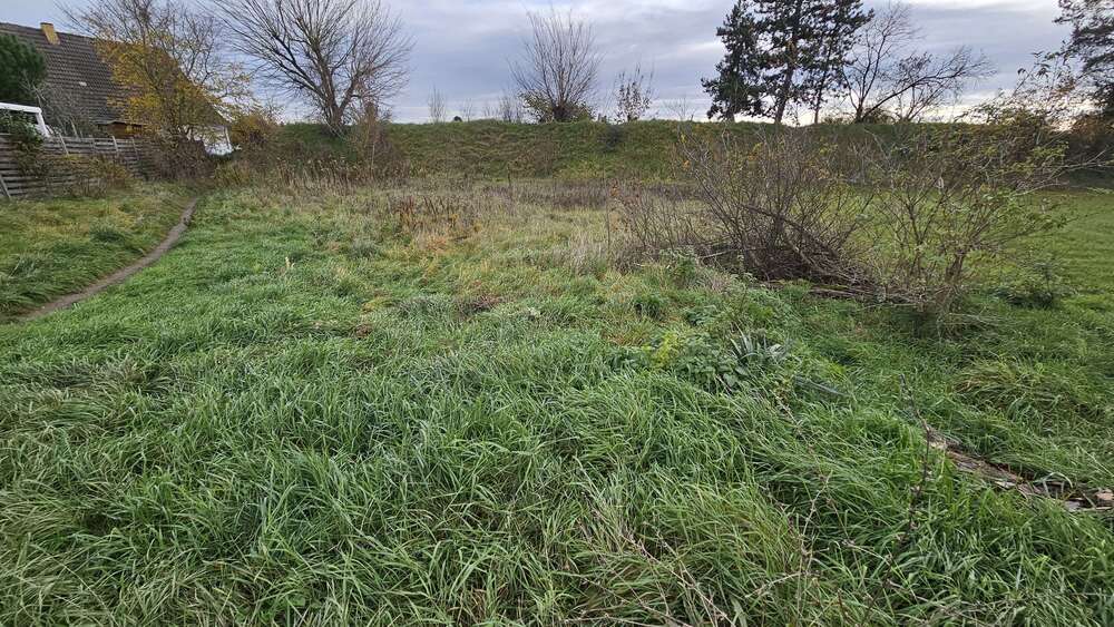 Grundstück zu verkaufen in Waghäusel-Wiesental 419.000 € 704 m² zimmer