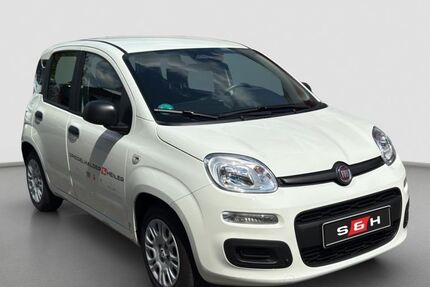 Fiat New Panda 3.100 km 17.990 &euro; Heidelberg 69126