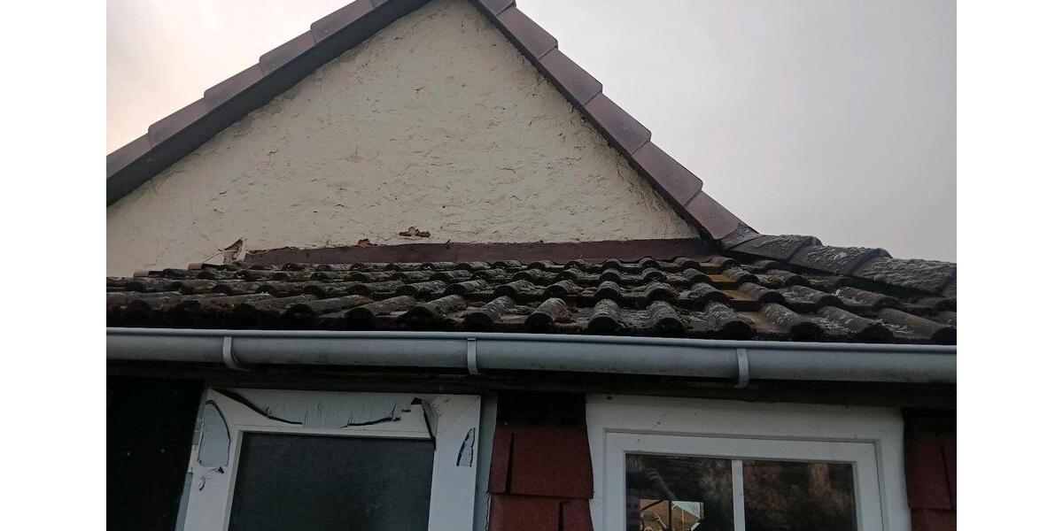 Einfamilienhaus Lampertheim - 6 Zimmer, 117 m&sup2;, 195.000&euro; | Angebot:25266532