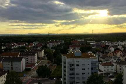 Wohnung zum Mieten in Viernheim 500 € 36 m²
