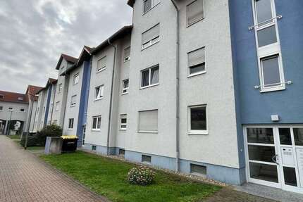 Wohnung zum Mieten in Ludwigshafen am Rhein 730 € 67 m² 2.5 zimmer