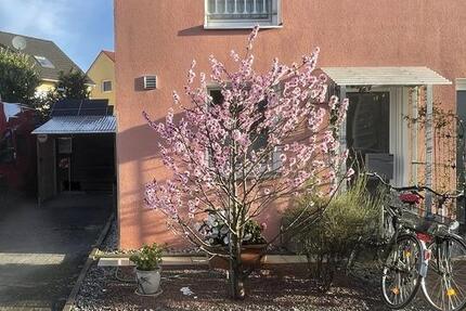 Haus Mutterstadt - 3 Zimmer, 82 m&sup2;, 420.000&euro; | Angebot:27293693