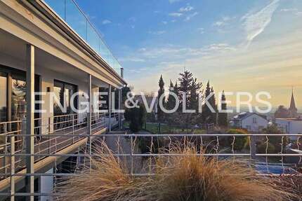 Haus Nußloch - 8 Zimmer, 332 m&sup2;, 2.490.000&euro; | Angebot:25877687