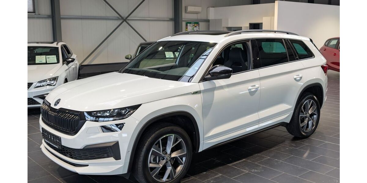 Skoda Kodiaq 82.000 km 35.900 &euro; Weinheim 69469
