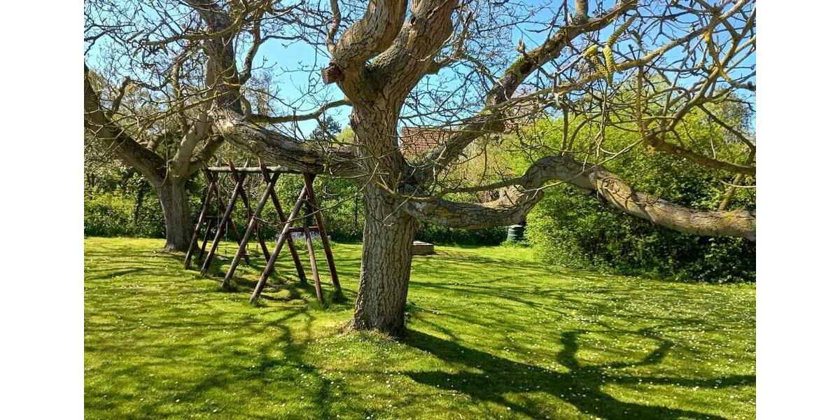 Einfamilienhaus Waghäusel - 1.600.000&euro; | Angebot:26163657