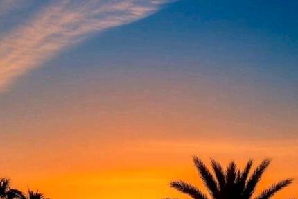 Wohnung Mannheim Herzogenried - 2 Zimmer, 60 m&sup2;, 700&euro; | Angebot:25280179