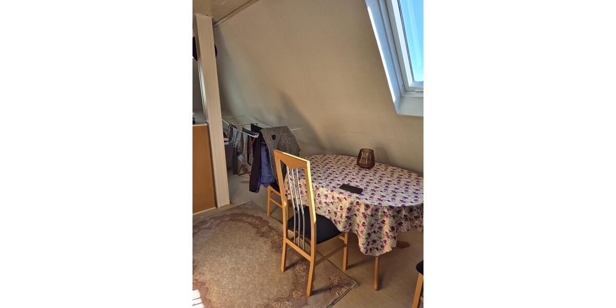 Dachgeschoßwohnung Worms - 2 Zimmer, 60 m&sup2;, 750&euro; | Angebot:26250607