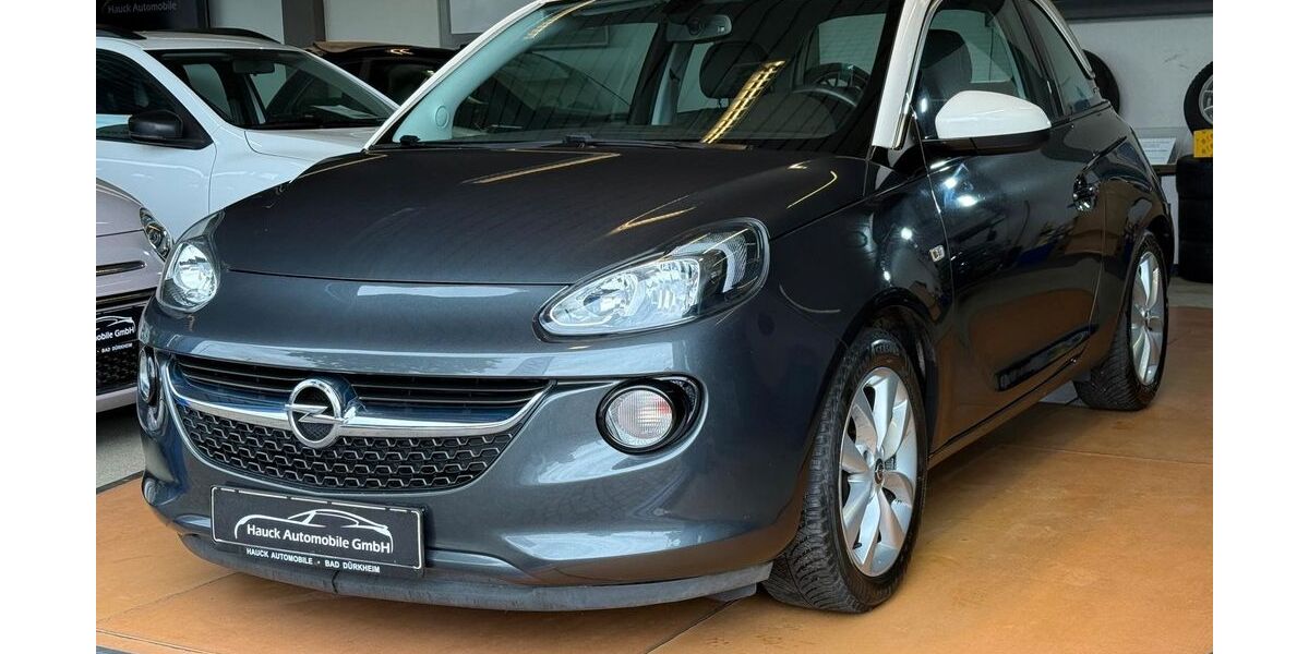 Opel Adam 76.800 km 8.750 &euro; Bad Dürkheim 67098