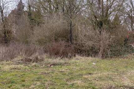 Grundstück Plankstadt - 950.000&euro; | Angebot:25202310