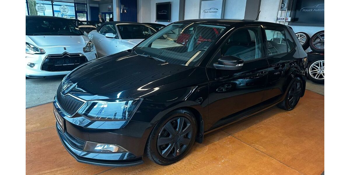 Skoda Fabia 169.344 km 6.790 &euro; Bad Dürkheim 67098