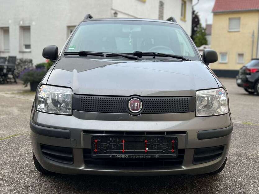 Panda