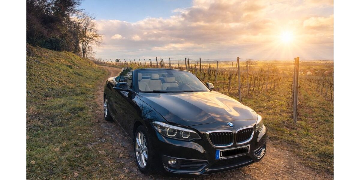 BMW 218 98.000 km 16.500 &euro; Wachenheim 67157