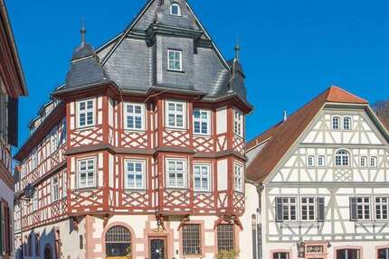 Haus Heppenheim - 20 Zimmer, 530 m&sup2;, 850.000&euro; | Angebot:26562420