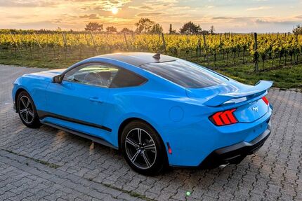 Ford Mustang 21.000 km 36.000 &euro; Osthofen 67574