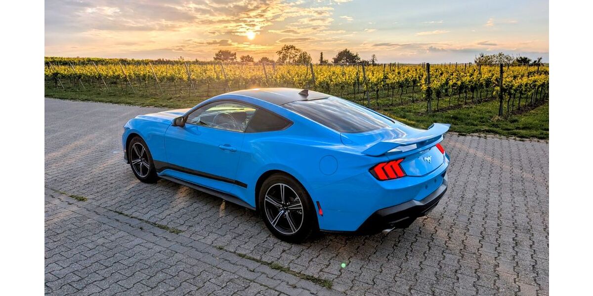 Ford Mustang 21.000 km 36.000 &euro; Osthofen 67574