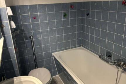 Wohnung Mannheim Rheinau - 1 Zimmer, 14 m&sup2;, 450&euro; | Angebot:25363224