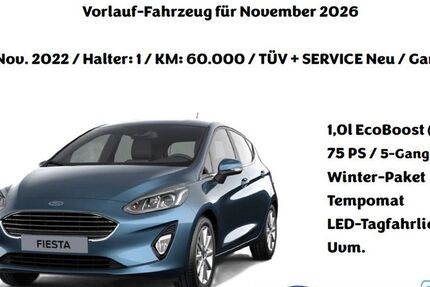 Ford Fiesta 60.000 km 12.500 &euro; Waghäusel 68753