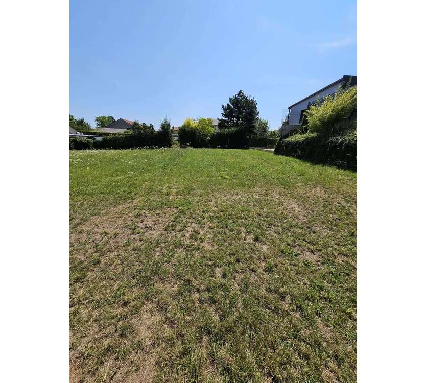Grundstück zu verkaufen in Wachenheim 199.000 € 1000 m²