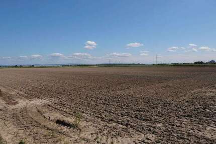 Grundstück in Mutterstadt 104.000 € 7950 m² zimmer