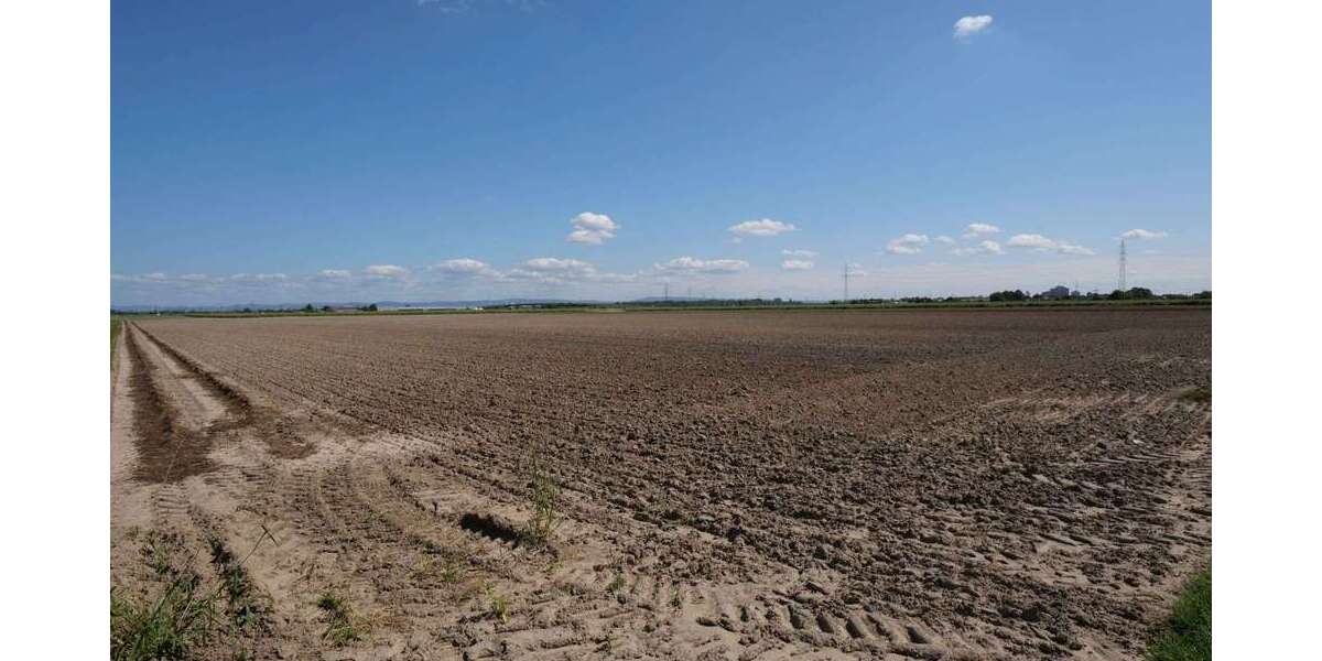 Grundstück in Mutterstadt 104.000 € 7950 m² zimmer