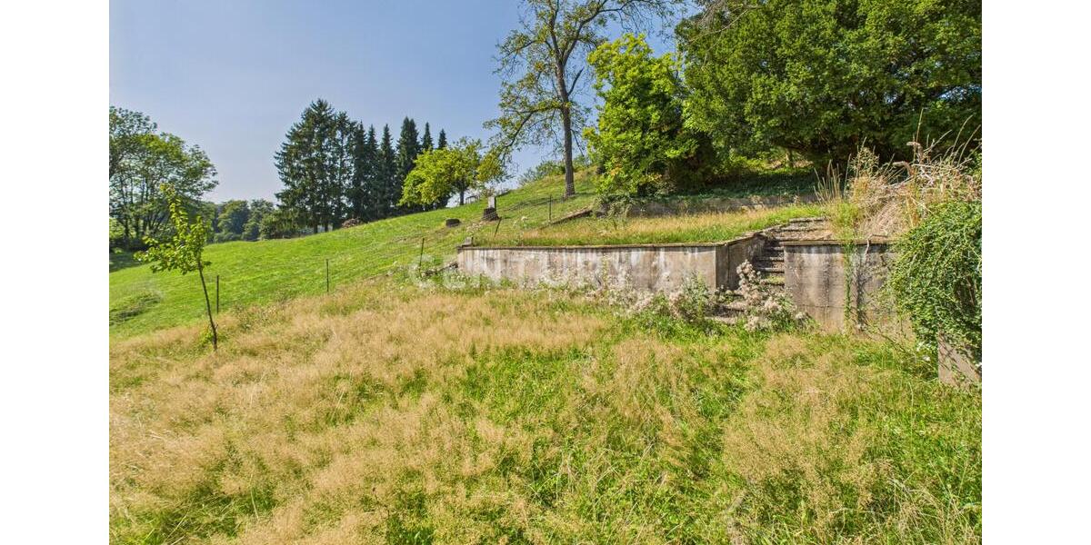 Gewerbeobjekt Lautertal (Odenwald) - 450.000&euro; | Angebot:24175731