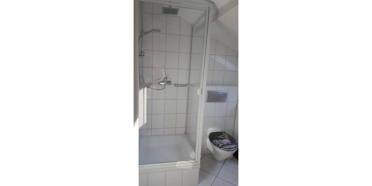 Dachgeschoßwohnung Schwetzingen - 2 Zimmer, 44 m&sup2;, 500&euro; | Angebot:26059746