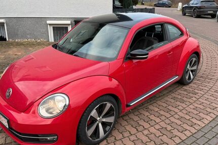VW Beetle 150.000 km 4.499 &euro; Bad Dürkheim 67098