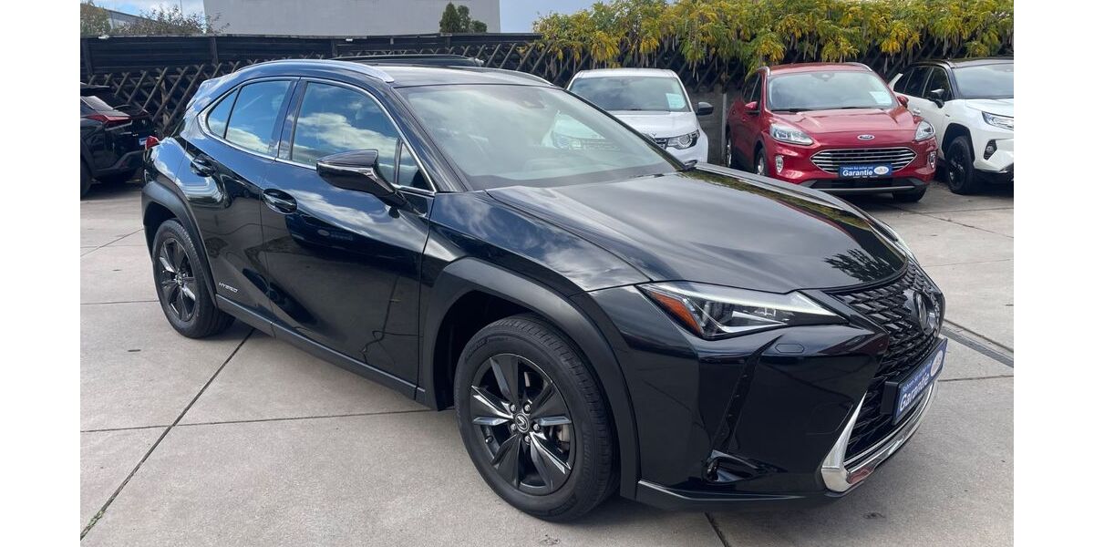 Lexus UX 60.000 km 21.900 &euro; Neuhofen 67141
