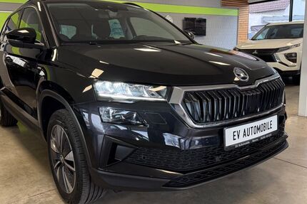 Skoda Karoq 88.000 km 21.500 &euro; Worms 67550