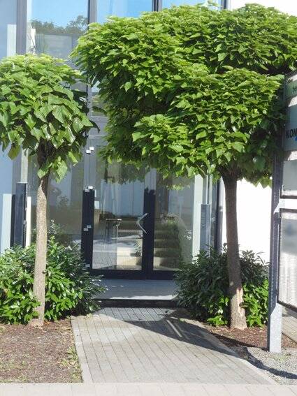 Gewerbeobjekt Heppenheim (Bergstraße) Heppenheim - 2 Zimmer, 794 m&sup2;, 1.490.000&euro; | Angebot:25666804