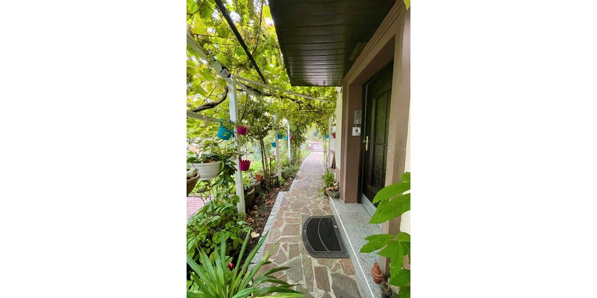 Erdgeschoßwohnung Mannheim Käfertal - 3 Zimmer, 75 m&sup2;, 1.200&euro; | Angebot:26037121