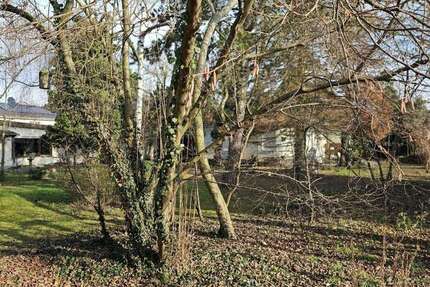 Grundstück Schwetzingen - 319.000&euro; | Angebot:25560964