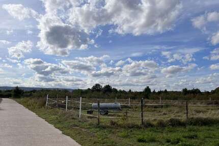 Grundstück zu verkaufen in Weisenheim am Sand 147.000 € 601 m² zimmer