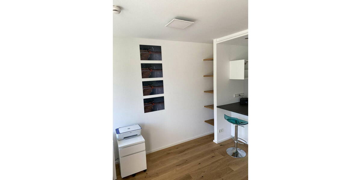 Terrassenwohnung Mannheim Neckarstadt - 1 Zimmer, 49 m&sup2;, 1.050&euro; | Angebot:26200085