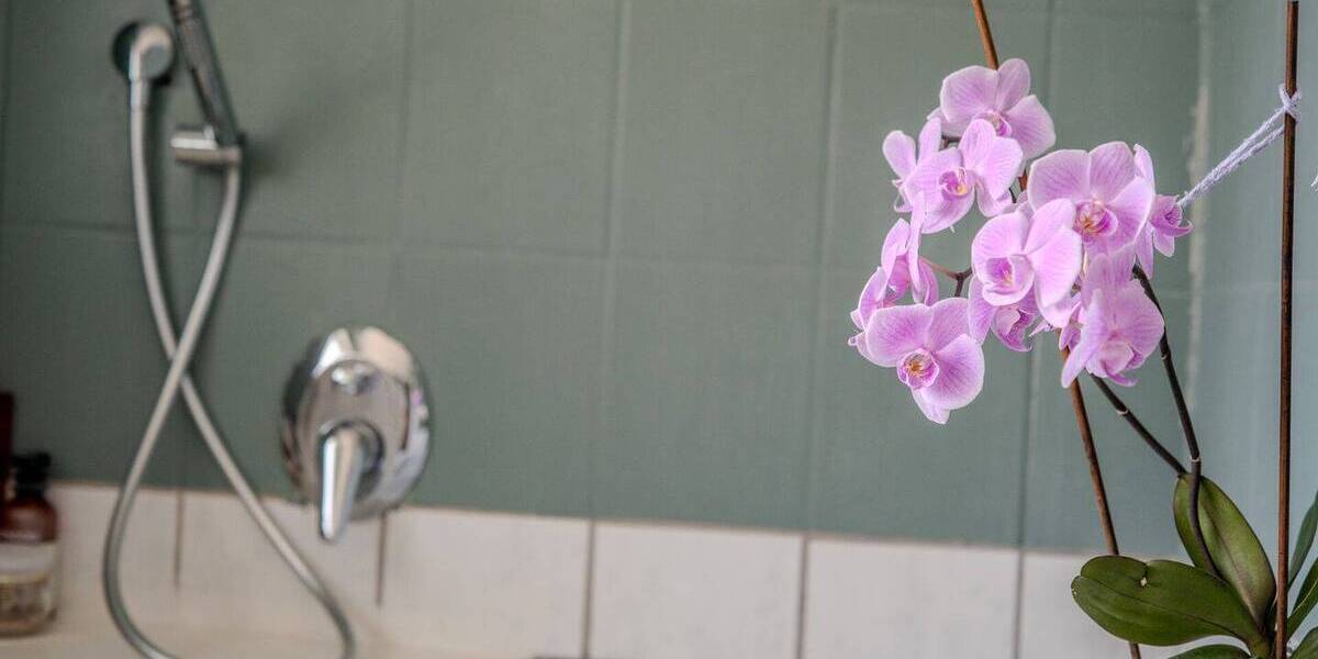 Doppelhaushälfte Mannheim Gartenstadt - 4 Zimmer, 142 m&sup2;, 565.000&euro; | Angebot:26188222