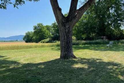 Haus Edingen-Neckarhausen Neckarhausen - 8 Zimmer, 255 m&sup2;, 659.000&euro; | Angebot:24239431