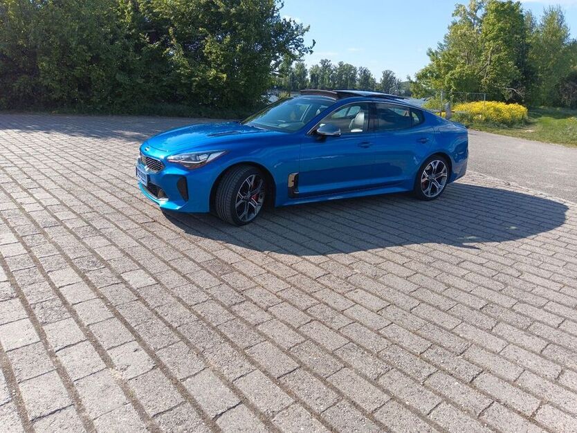 Stinger