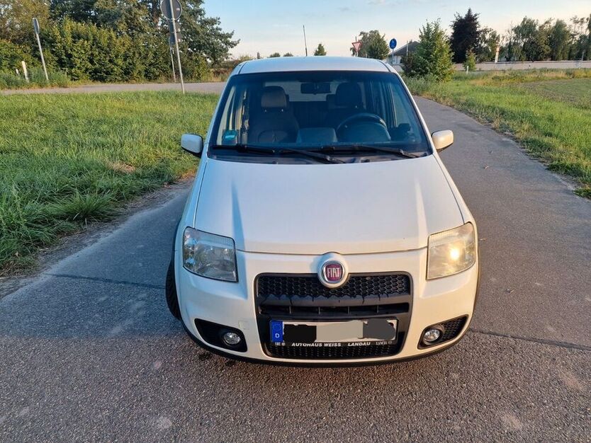 Panda