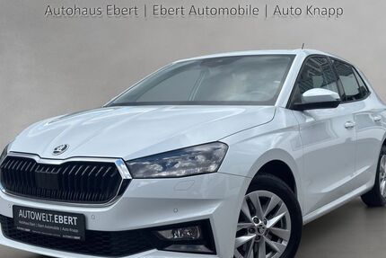 Skoda Fabia 41.700 km 18.690 &euro; Bensheim 64625