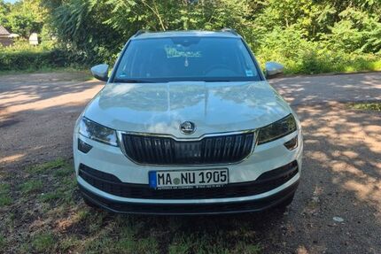 Skoda Karoq 133.265 km 15.400 &euro; Mannheim 68199