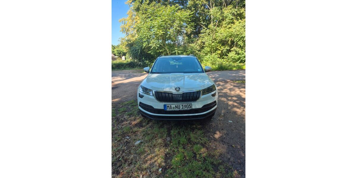 Skoda Karoq 133.265 km 15.400 &euro; Mannheim 68199