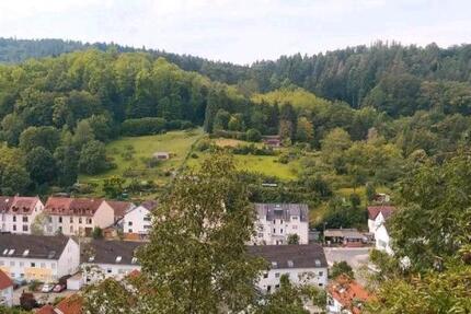 Haus Weinheim - 4 Zimmer, 200 m&sup2;, 850.000&euro; | Angebot:16502065