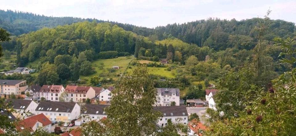 Mehrfamilienhaus, Wohnhaus Weinheim - 4 Zimmer, 200 m&sup2;, 850.000&euro; | Angebot:16502065