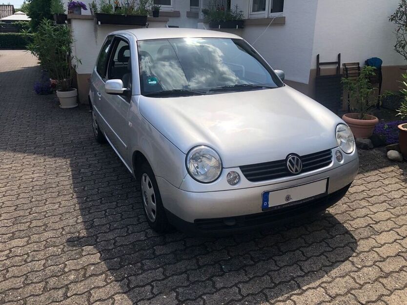 Lupo