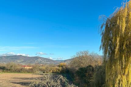 Wohnung Ladenburg - 4 Zimmer, 108 m&sup2;, 546.000&euro; | Angebot:25099574