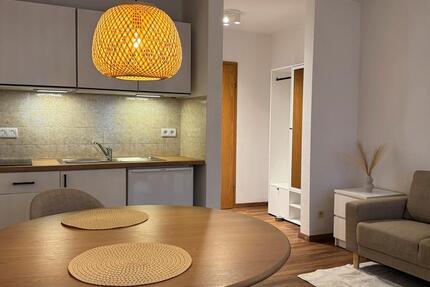 Leimen: NEU möbliertes 1-Zimmer-Apartment mit Balkon in Top-Lage! 1 zimmer